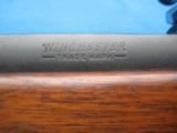 Winchester Pre-64 Model 70 Varmint 243 MH 26" Stainless Bbl. Circa 1957 w/10X Unertl - 6 of 25