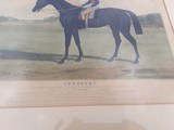 English Horse Print 