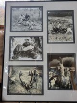 Fred Bear Signed Bow Hunting Photos w/Provenance