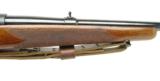 RARE Pre-64 Winchester model 70 Standard Rifle not Featherweight Rifle chambered in 243 Win All Original- 7 of 15