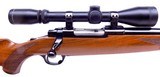 Sturm Ruger M77 M77V VARMINT Rifle Heavy Barrel Tang Safety Version Winchester Burris Signature USA Made Scope - 3 of 20