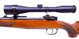 AMN Steyr Mannlicher Carbine model 1952 Daimler Schoenauer 6.5x54MS Manufactured in 1952 - 6 of 14