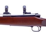 Custom Winchester Mod 70 Pre-64 Claw Extractor Rifle in 25-300 WSM Caliber with Dies, Ammo and Brass - 9 of 18