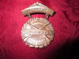Winchester Junior Rifle Corps PRO MARKSMAN Badge- 2 of 4