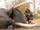 Now booking plains game, Buffalo and Elephant in Namibia - 9 of 13
