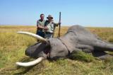 Now booking plains game, Buffalo and Elephant in Namibia - 12 of 13