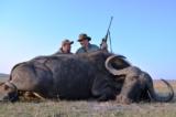 Now booking plains game, Buffalo and Elephant in Namibia - 13 of 13