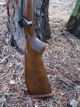 pre-64 Winchester model 70 .375 H&H collector condition - 2 of 10