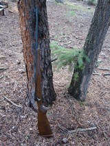 pre-64 Winchester model 70 .375 H&H collector condition - 1 of 10
