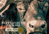 Buffalo hunting in Mozambique - 2 of 15