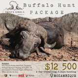 Buffalo hunting in Mozambique