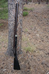 Charles Osbourne 4 bore single barrel percussion rifle - 7 of 15