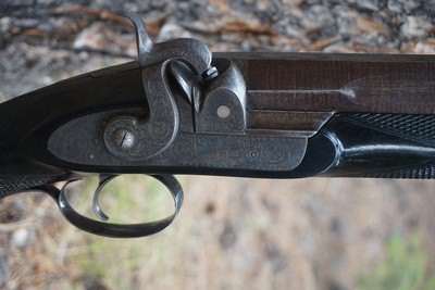 Charles Osbourne 4 bore single barrel percussion rifle