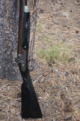 Charles Osbourne 4 bore single barrel percussion rifle - 3 of 15