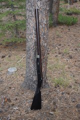 Charles Osbourne 4 bore single barrel percussion rifle - 4 of 15