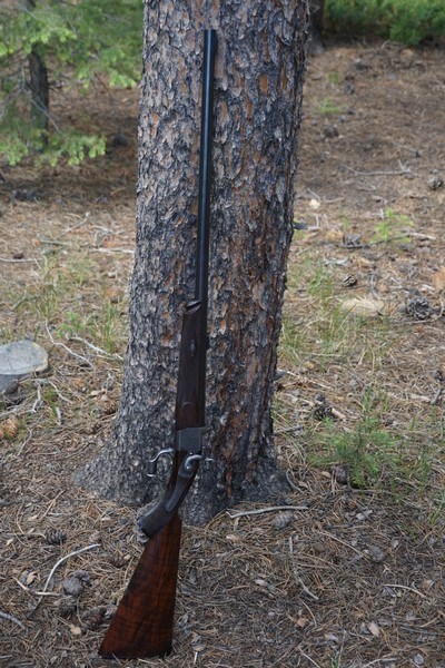 Best Quality cased Alexander Henry .500 BPE falling block rifle - Image 4 of 15