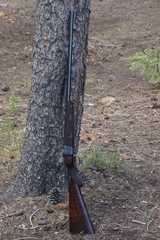 Best Quality cased Alexander Henry .500 BPE falling block rifle - Image 8 of 15