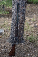Best Quality cased Alexander Henry .500 BPE falling block rifle - Image 4 of 15