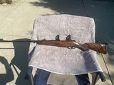 American hunting rifles. Safari rifle - 7 of 10