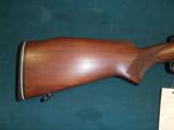 Winchester 70 Standard Weight, 243 Win, Pre 1964. - 1 of 15