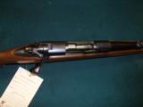 Winchester 70 Standard Weight, 243 Win, Pre 1964. - 7 of 15