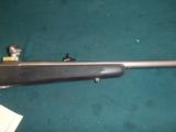 Browning A-Bolt A Bolt 375 HH H&H Stainless Syn, Open sights - 3 of 16