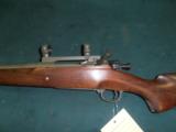 Remington 1903 03A3 Springfield Sporter 30-06 - 16 of 17
