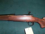 Winchester 70 Sporter 7mm Remington Mag, NIB - 7 of 8