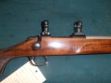 Cooper Model 21 Varmint, 204 Ruger, CLEAN. Rings and bases- 2 of 16