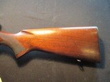 Winchester Model 70 Pre 1964 270 Standard Grade, Low Comb - 19 of 19