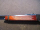 Browning BLR 81 243 Win, Japan, CLEAN - 15 of 17