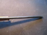 Winchester Model 70 Featherweight XTR, 243 Win, CLEAN! - 5 of 17