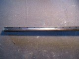 Browning A5 Auto 5 Belgium, 20ga Light 20, 28" MOD choke, 1968, NICE! - 17 of 21