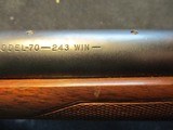 Winchester 70 Varmint, pre 1964, 243 Win, 1957, CLEAN! - 17 of 20