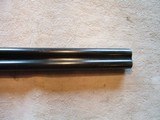 Jana 711, Richland arms, Spanish Side by Side, 10ga, 32" 3.5" Mag - 14 of 21