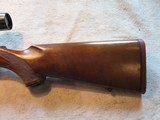 Ruger M77 77 Carbine Tang Safety, 243 Winchester, Early gun, Nice! - 19 of 19