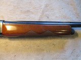 Remington 11-48, 12ga, 26" Skeet Cutts, vent Rib - 3 of 20