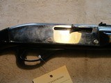 Remington Nylon 66, Black and Chrome! - 1 of 16