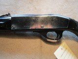 Remington Nylon 66, Black and Chome! - 13 of 16