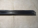 Beretta 687 EELL Diamond Pigeon, 20ga, Factory Demo, 2005, Clean! - 6 of 19