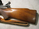 Winchester 70 Featherweight, 243 Win, First year 1952, Nice! - 14 of 16