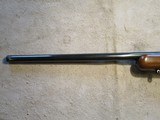 Ruger M77 77 Mark 2, 243 Win, 22" barrel, rings, Bolt Safety 1993 - 16 of 16
