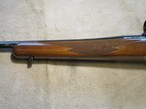 Ruger M77 77 Mark 2, 243 Win, 22" barrel, rings, Bolt Safety 1993 - 15 of 16