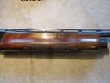 Remington 1100 Skeet B, 20ga, 26" Vent rib, Skeet choke Clean! - 3 of 17