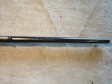 Winchester 1903 03, 22 SA, Made 1906, Clean classic rifle! - 8 of 16