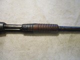 Winchester 1890, 22 WRF, 24" barrel, made 1906 - 7 of 16