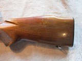 Winchester 70 Pre 1694 Varmint, 243 Win, 1959, Clean! Weaver scoped! - 14 of 17