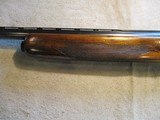 Beretta Golden Lark, 12ga, 26" Poly choke, 1957, Clean! - 16 of 18