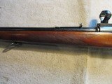 Winchester 70 Featherweight, Pre 1964, 270 Win, 1955, Nice! - 16 of 18