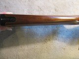Ruger 10/22 Carbine, 1978, Pre Warning, Clean early rifle! - 6 of 20